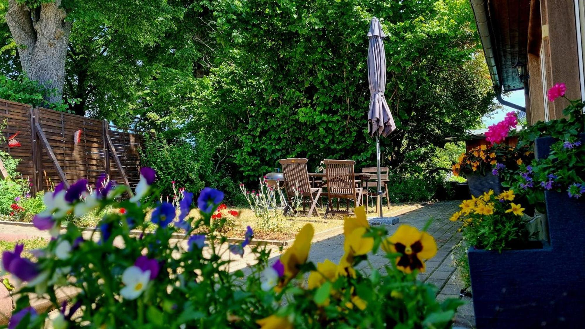W5 - Urlaubsmagie - Wohnung Mit Grill, Terrasse & Pool Lichtenhain  Exterior foto
